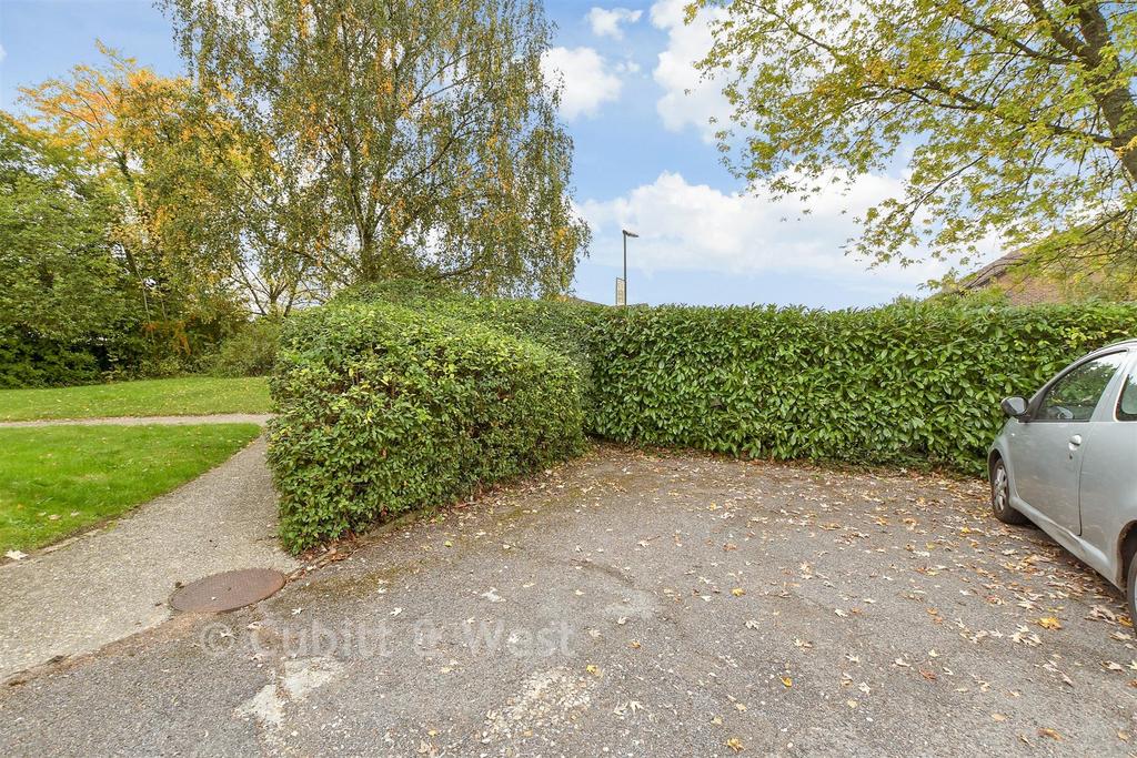 Driveway/Parking
