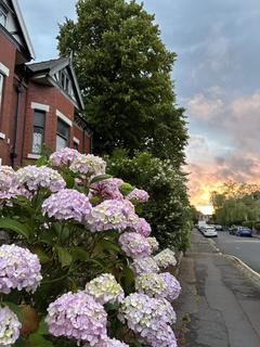 7 bedroom semi-detached house to rent, Withington M20