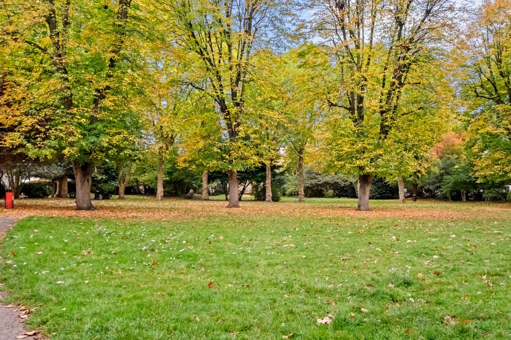 Communal Garden