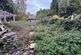 19 Purley Grove - Garden.jpeg