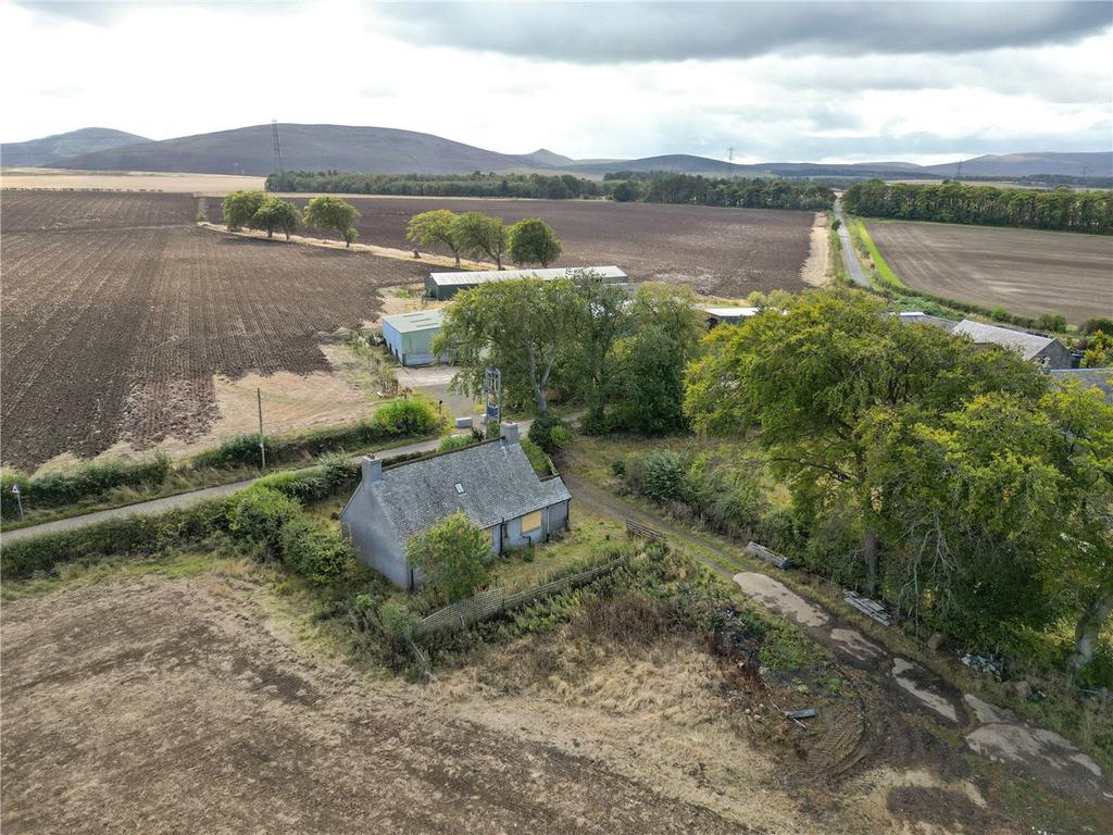 Lot 3