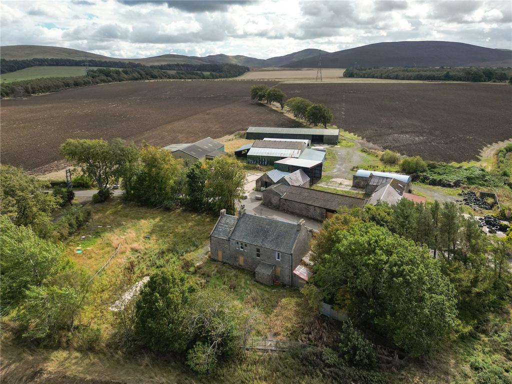 Lot 1