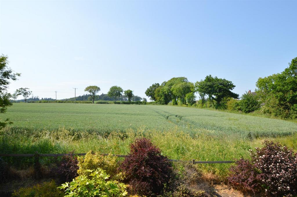DSC 2543.jpg