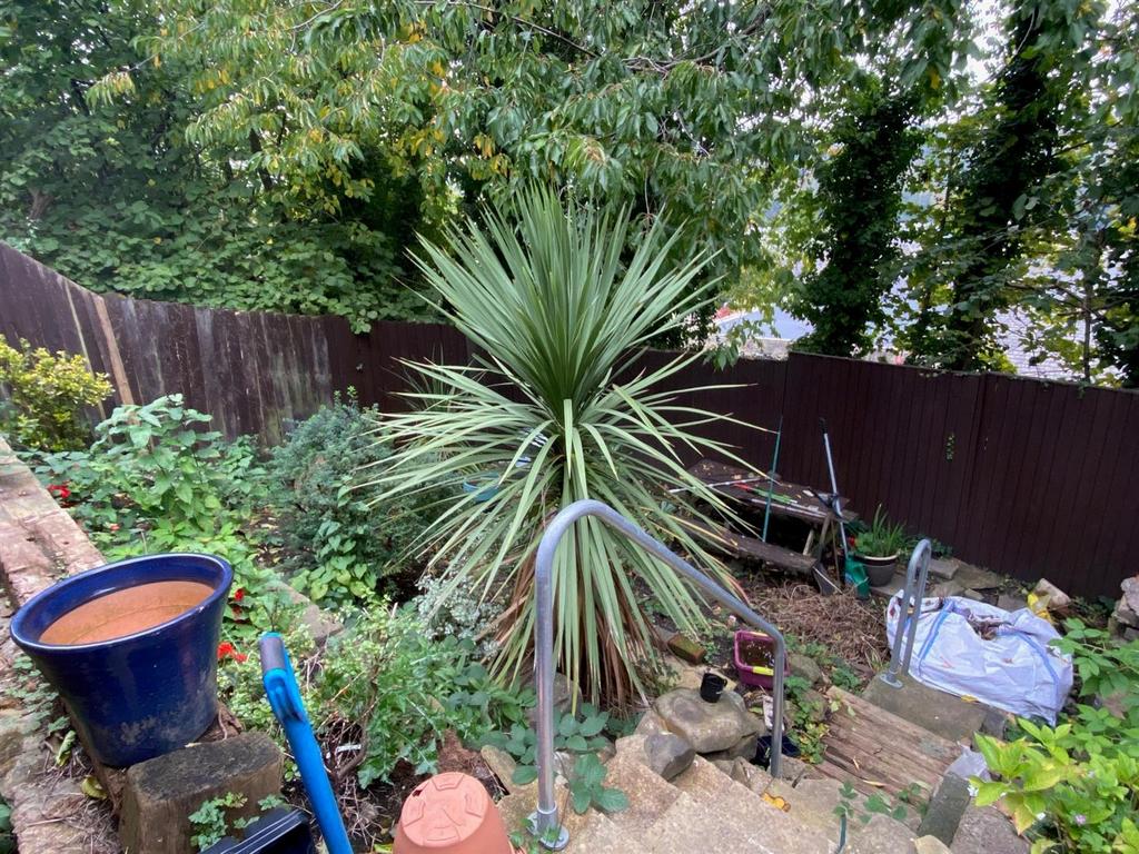 Rear garden.jpg