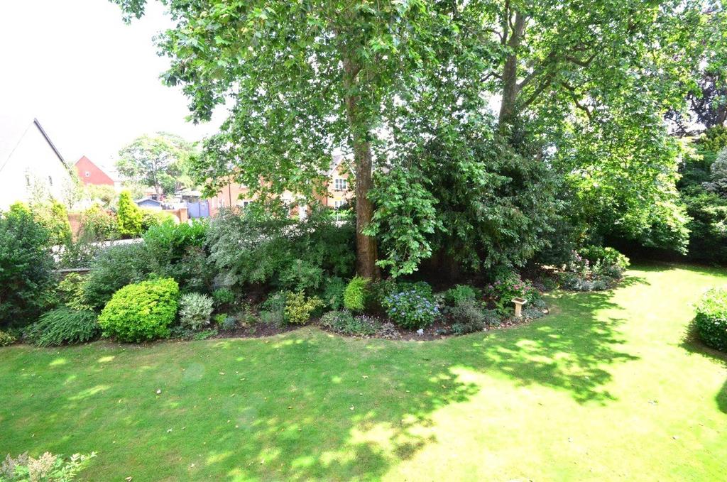 Communal Garden