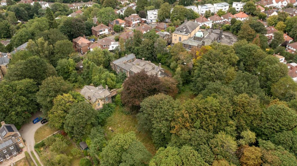 DJI 0196.jpg
