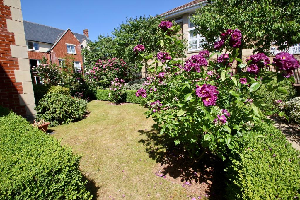 Garden view, garden