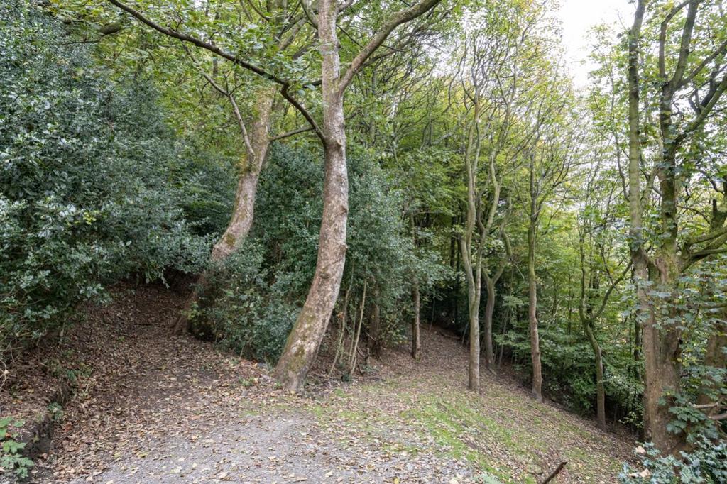 Woodland walk 85 meters away