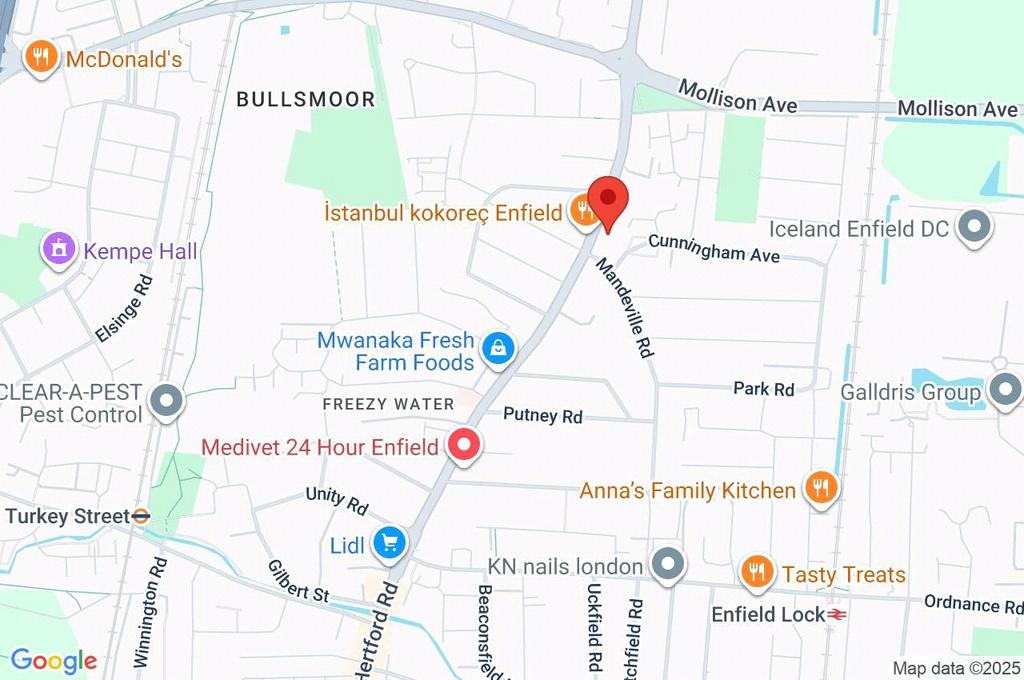 Google Maps Image