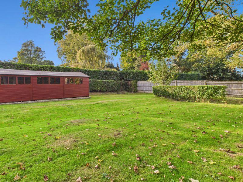 Rear of the garden