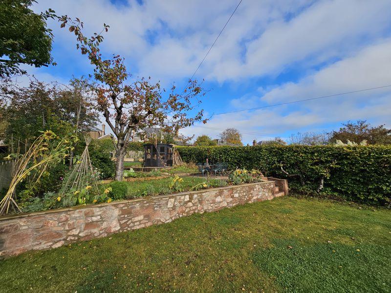 Back Garden
