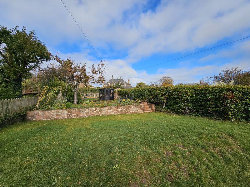 Back Garden