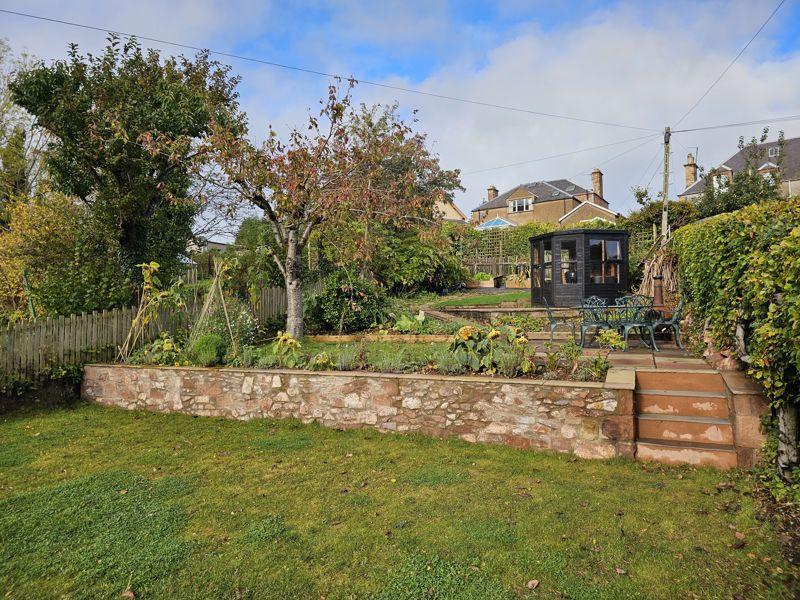 Back Garden