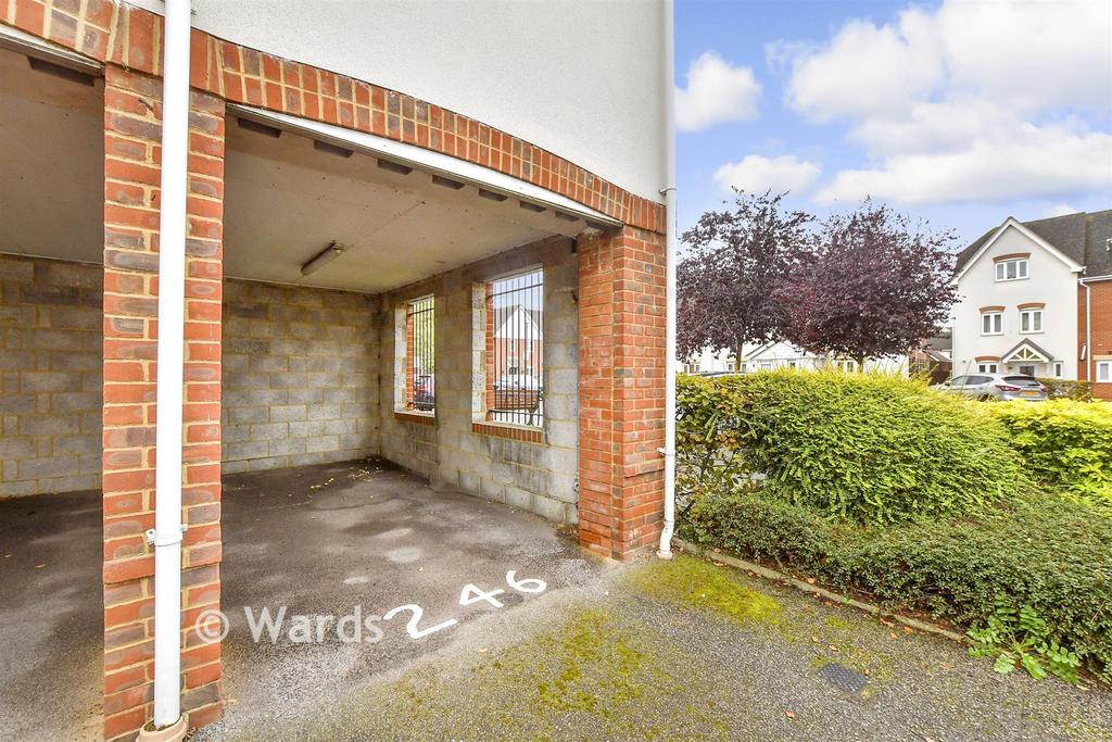Driveway/Parking
