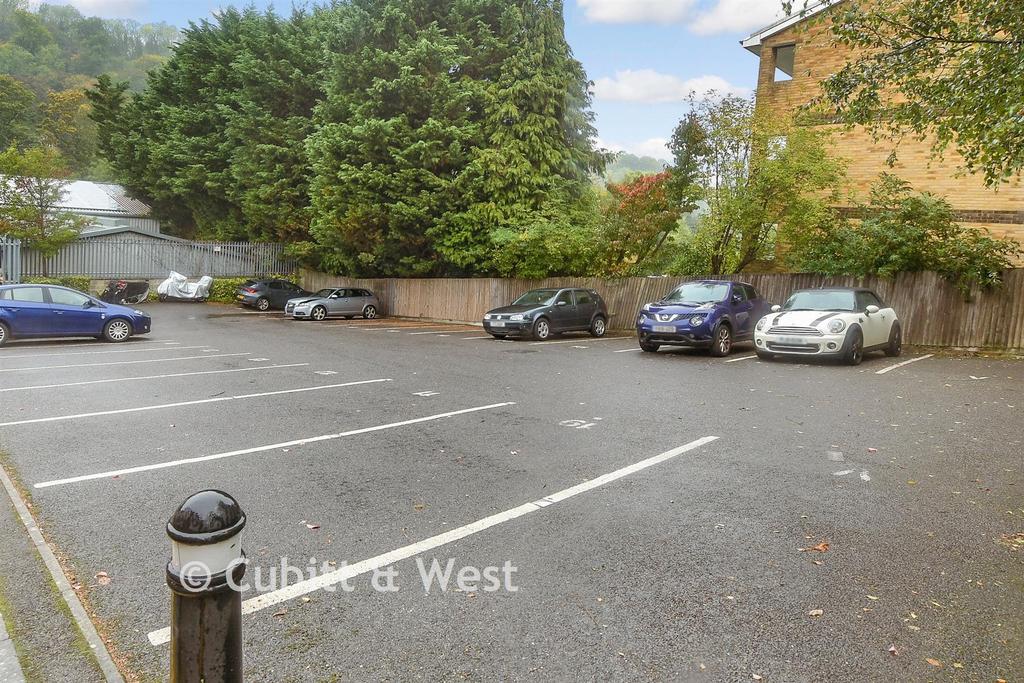 Driveway/Parking