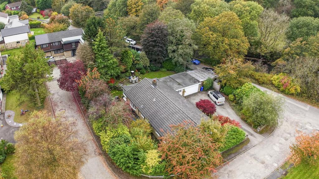 Aerial Setting
