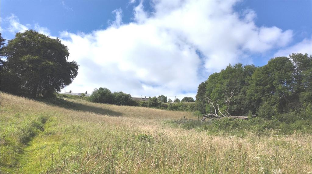 View Of Land