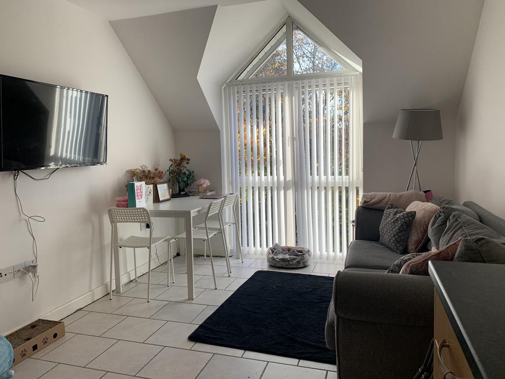 IMG 8423-scaled-1.jpeg