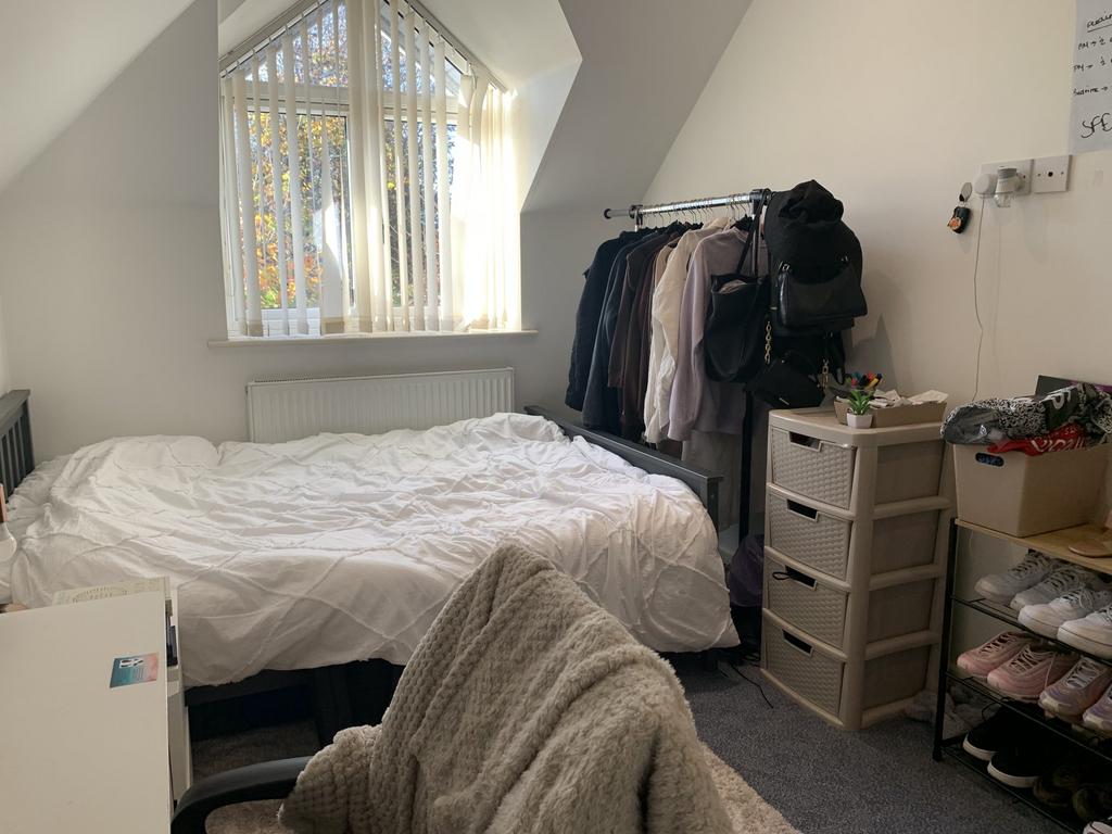 IMG 8417-scaled-1.jpeg