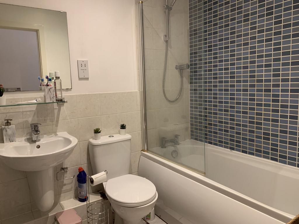 IMG 8431-scaled-1.jpeg