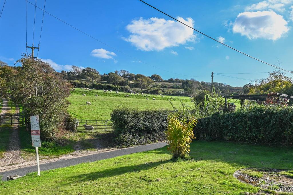 Views from the front