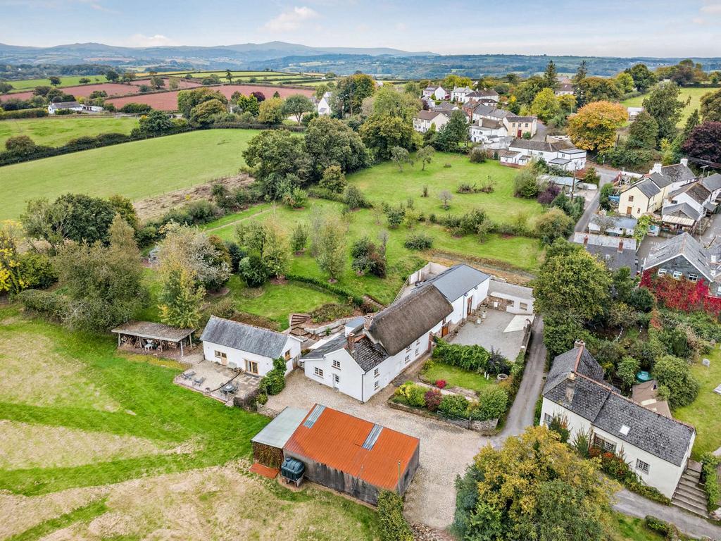 Town Living Farm