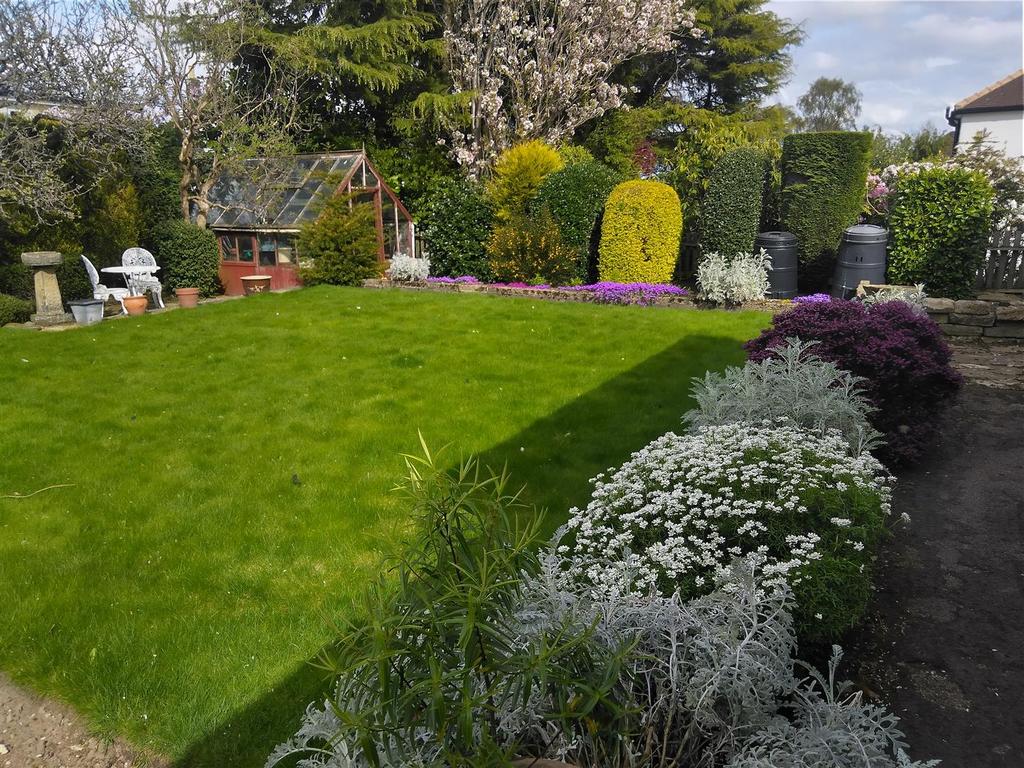 V garden image April 2025.jpg