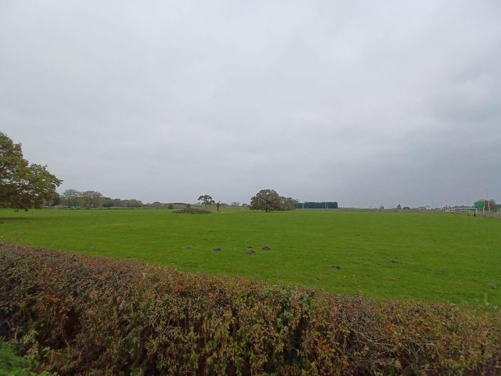 Picture No. 07