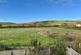 GREENSANDS WAY, SWANAGE photo 4