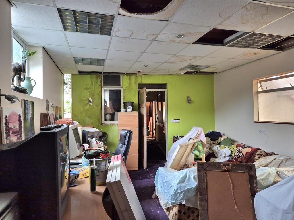 20251009 152211 resized.jpg