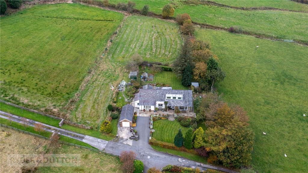 Aerial Overview