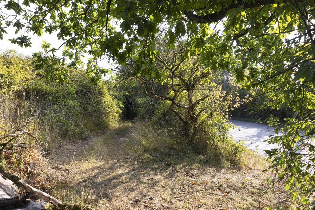 Bunny Lane, Romsey,  SO51 0 PG NB21