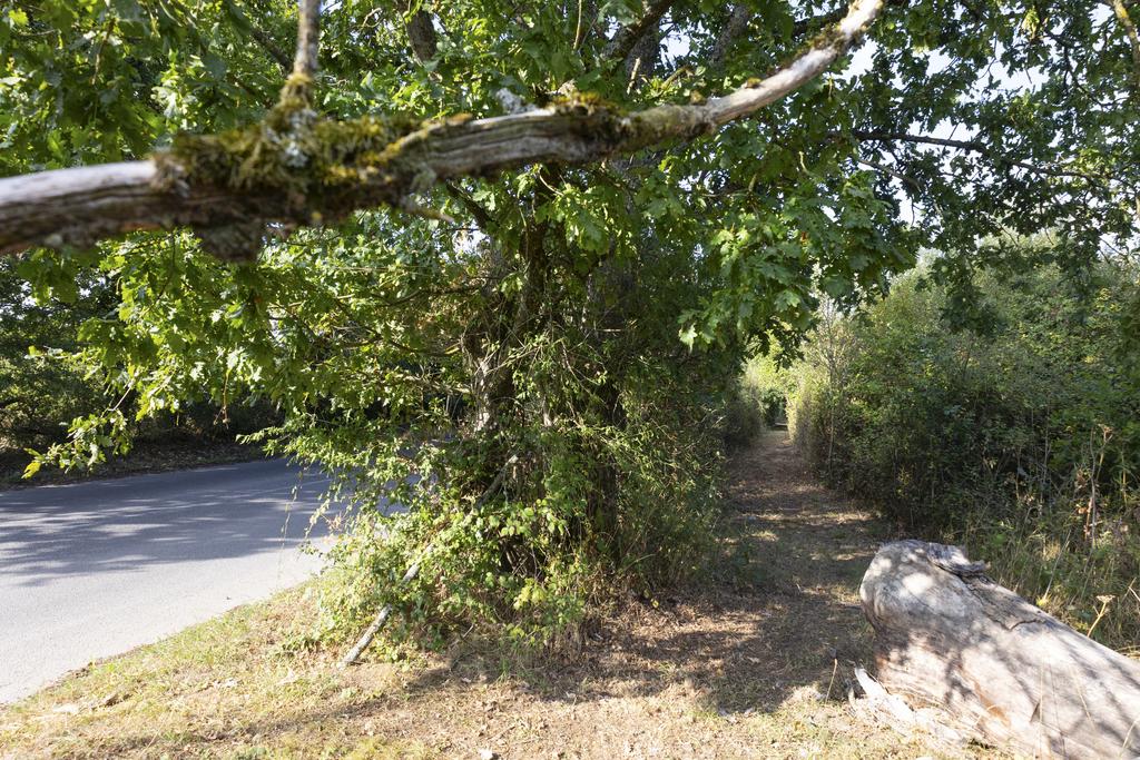 Bunny Lane, Romsey,  SO51 0 PG NB19