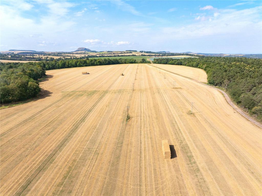 Lot 2 - Field 7