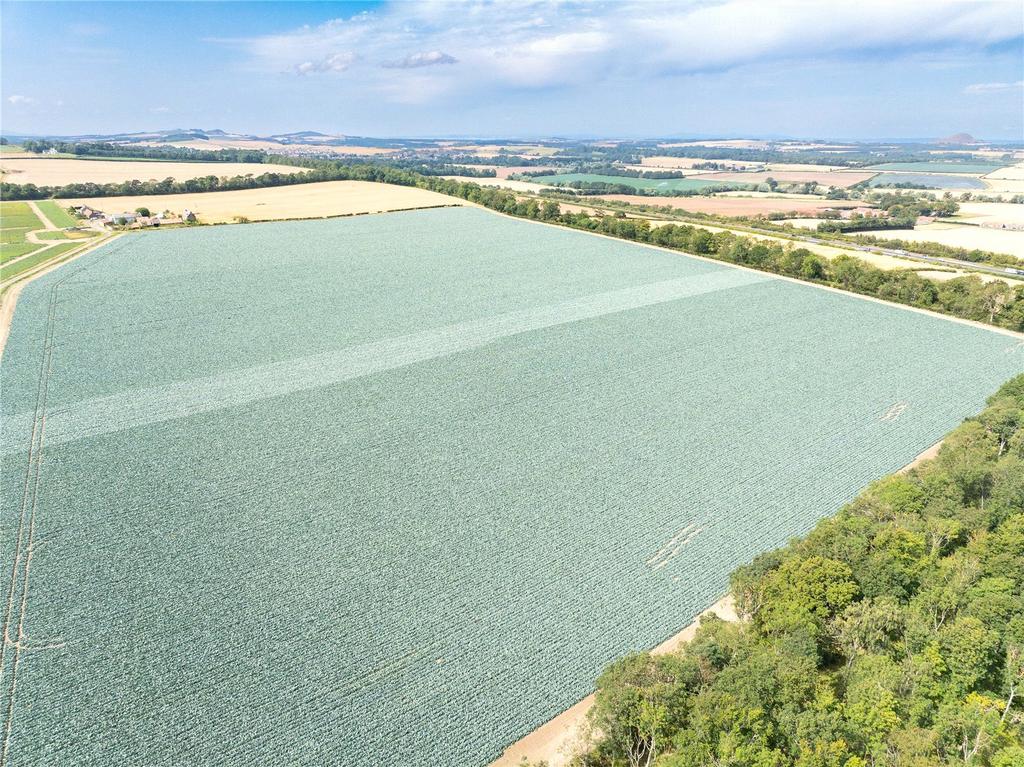 Lot 1 - Field 4