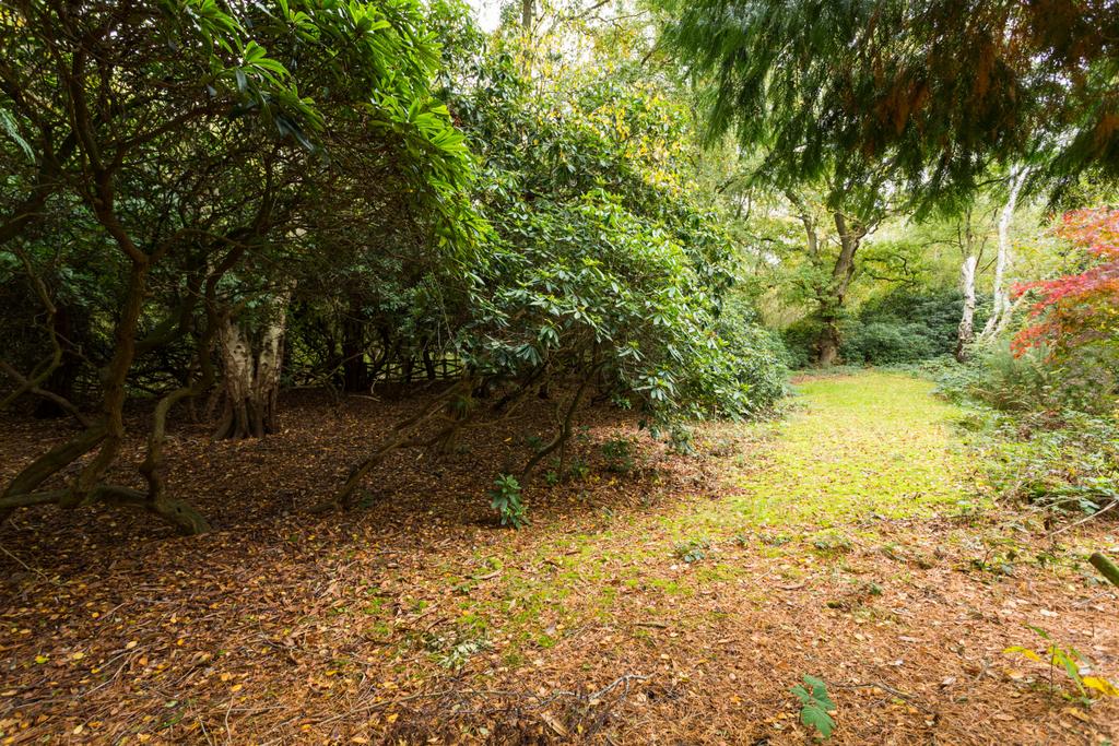 Grounds