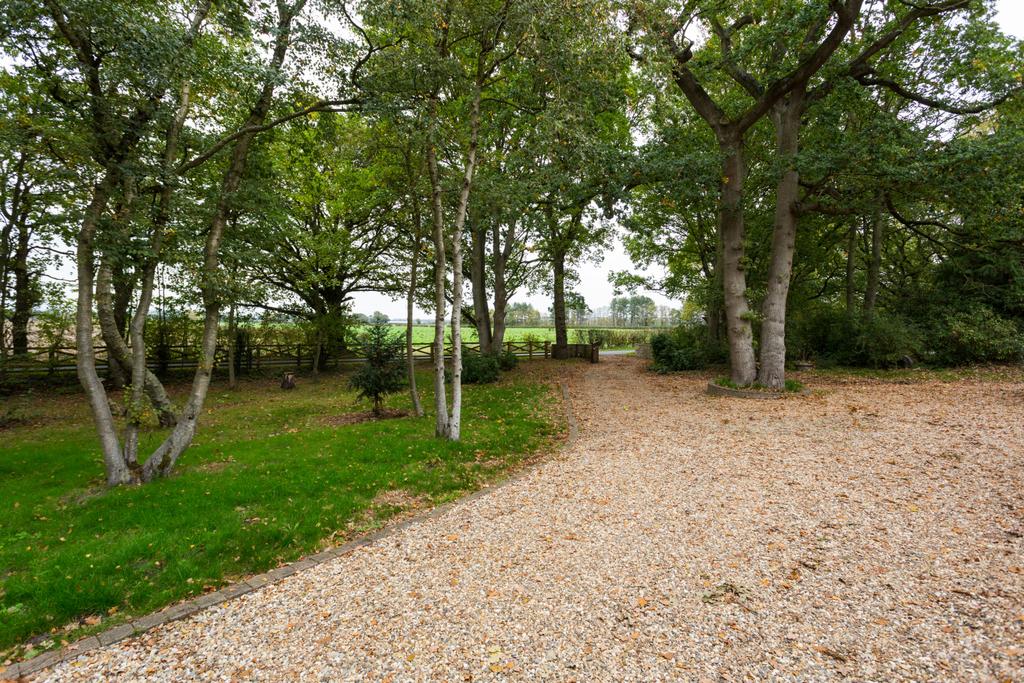 Grounds