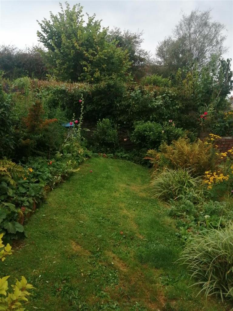 IMG 20250818 200704 resized 20250819 122328997.jpg