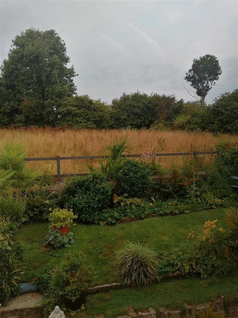 IMG 20250819 065238.jpg