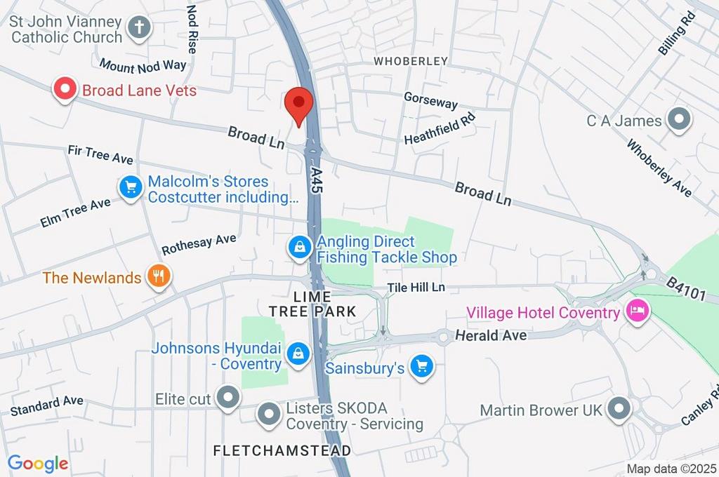 Google Maps Image