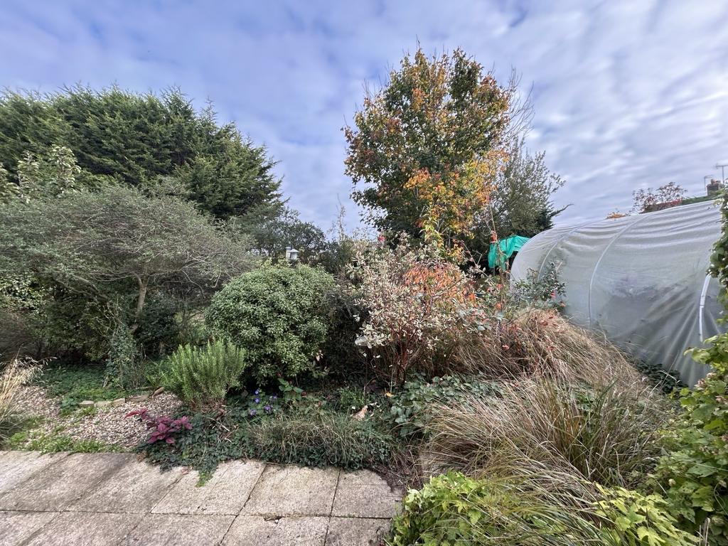 Garden 4