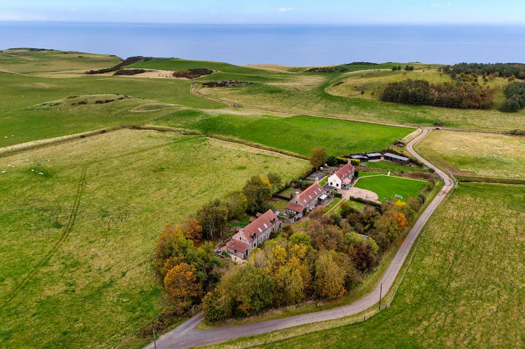 Aerial Image