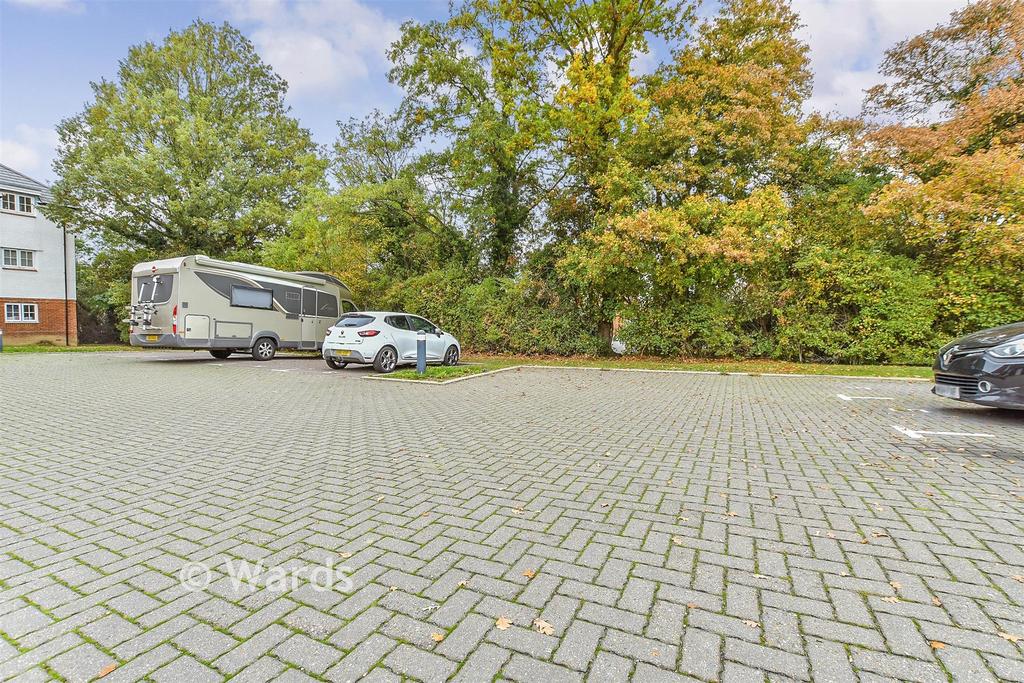 Driveway/Parking