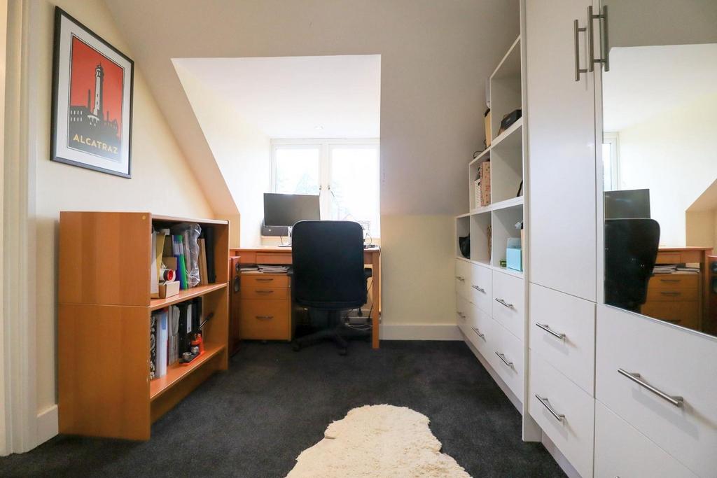 Study area.jpg