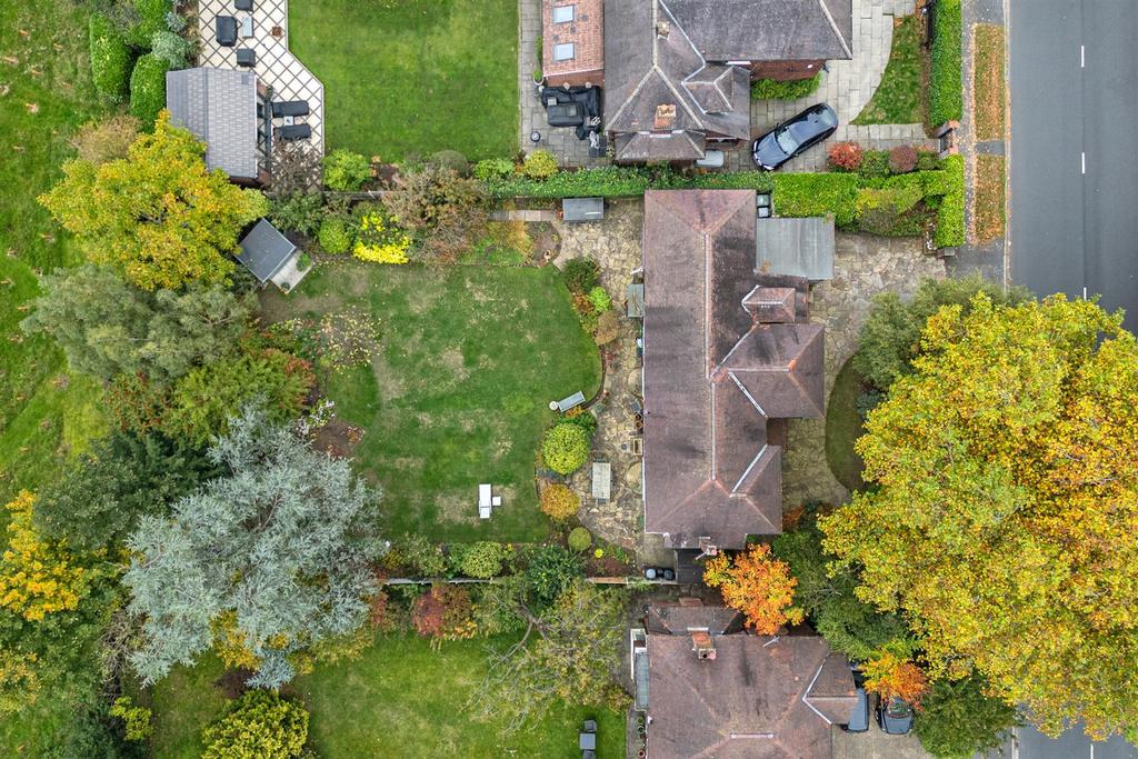 From Above