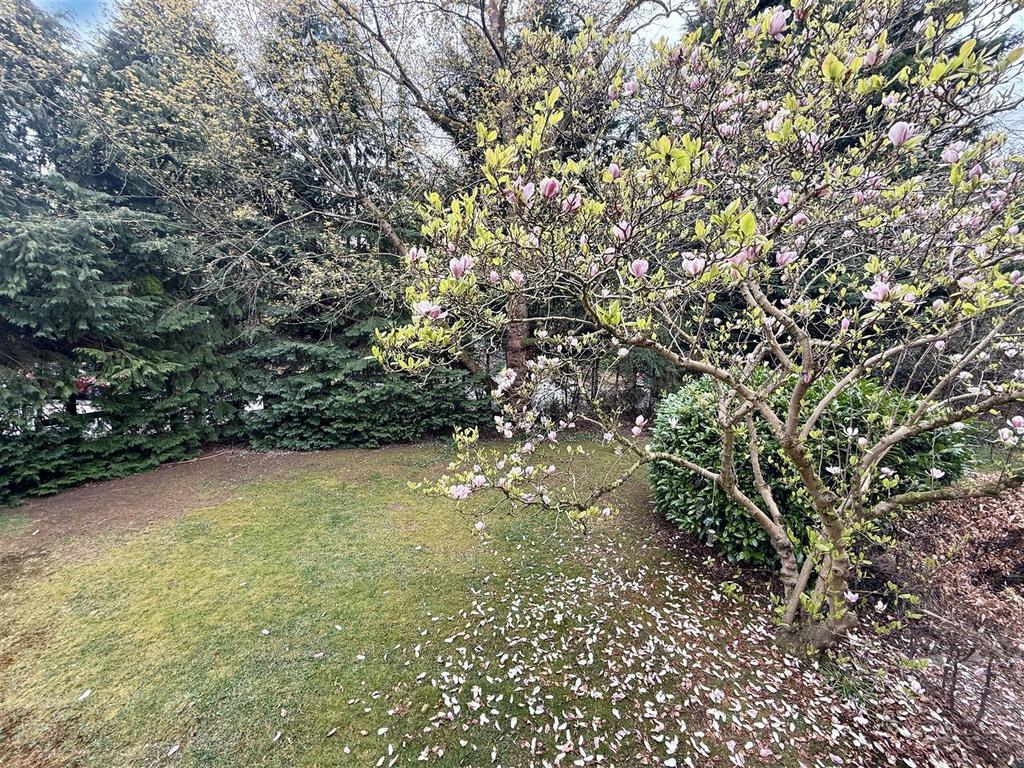 Communal Gardens
