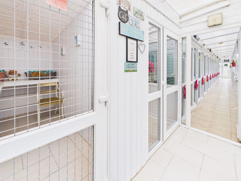 Cattery