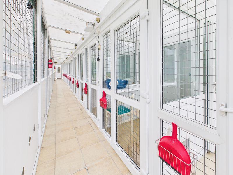 Cattery