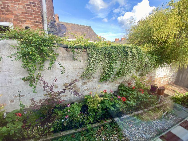 Rear Yard