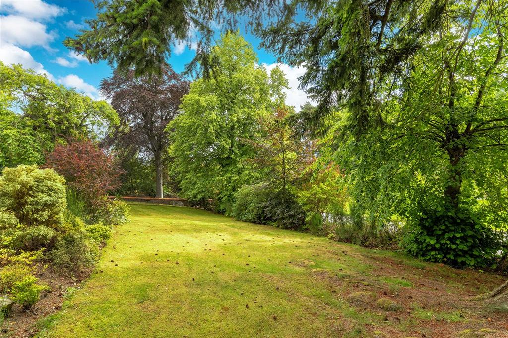Grounds